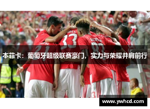 本菲卡:葡萄牙超级联赛豪门,实力与荣耀并肩前行 本菲卡:葡萄牙超级联赛豪门,实力与荣耀并肩前行