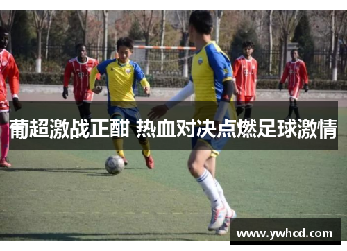 葡超激战正酣 热血对决点燃足球激情 葡超激战正酣 热血对决点燃足球激情