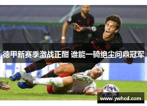 德甲新赛季激战正酣 谁能一骑绝尘问鼎冠军