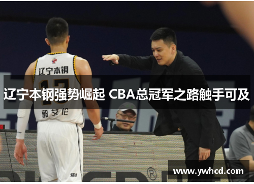 辽宁本钢强势崛起 CBA总冠军之路触手可及